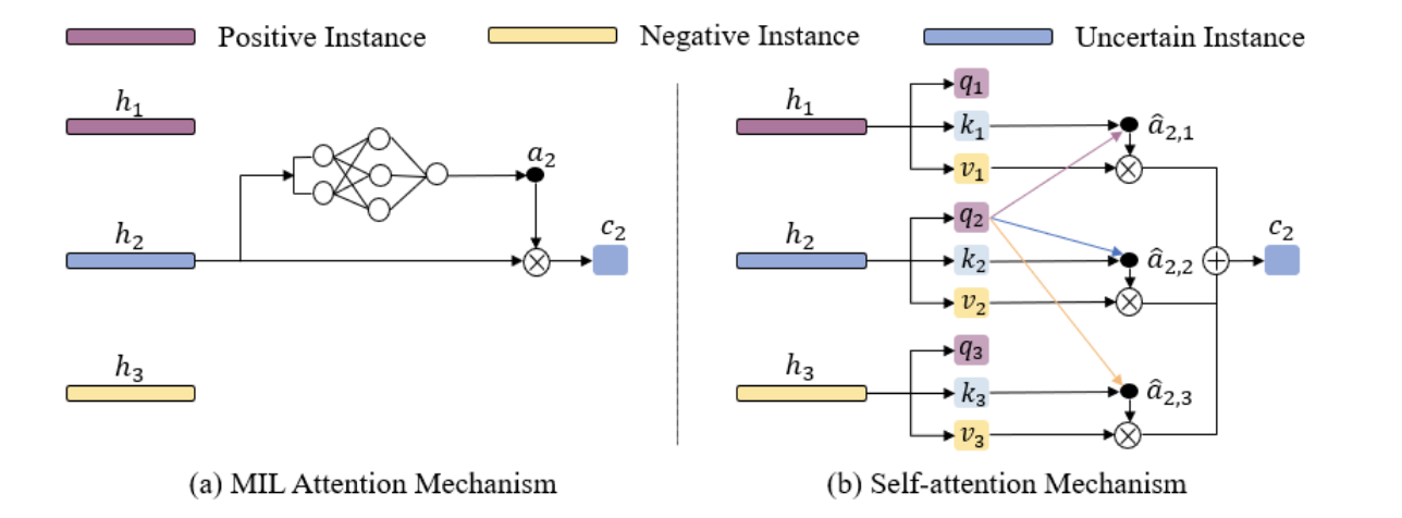 Transmil: Transformer based Correlated Multiple Instance Learning for Whole Slide Image Classification paper image