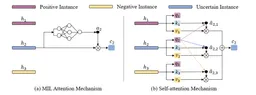Transmil: Transformer based Correlated Multiple Instance Learning for Whole Slide Image Classification paper image