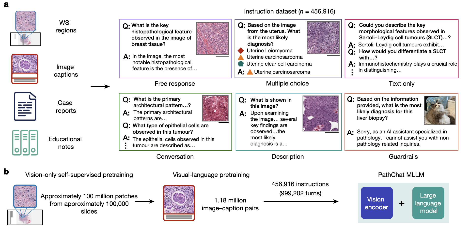 A multimodal generative AI copilot for human pathology paper image