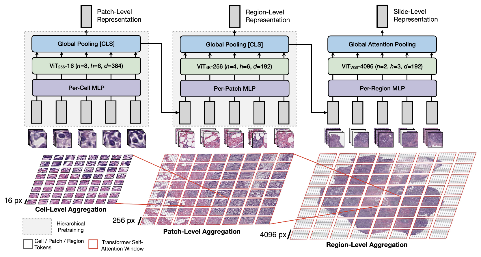 Scaling Vision Transformers to Gigapixel Images via Hierarchical Self-Supervised Learning paper image