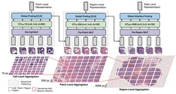 Scaling Vision Transformers to Gigapixel Images via Hierarchical Self-Supervised Learning paper image