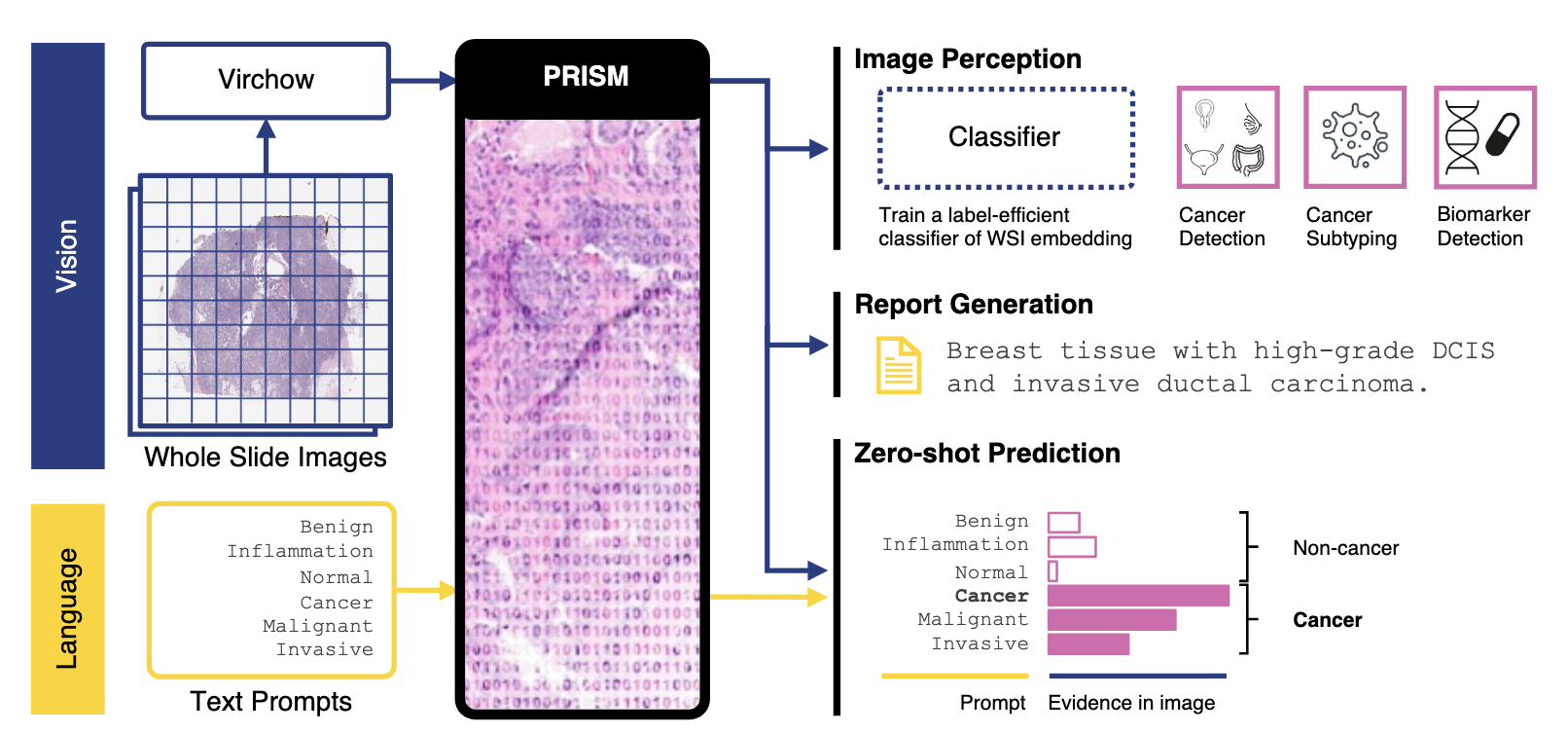 PRISM: A Multi-Modal Generative Foundation Model for Slide-Level Histopathology paper image