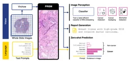 PRISM: A Multi-Modal Generative Foundation Model for Slide-Level Histopathology paper image