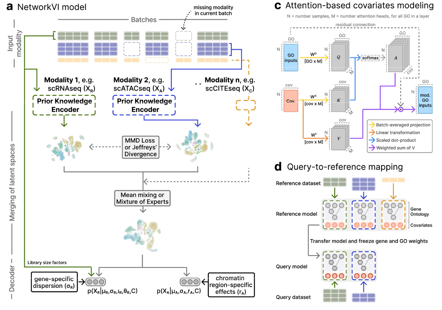 Biologically Guided Variational Inference for Interpretable Multimodal Single-Cell Integration and Mechanistic Discovery paper image