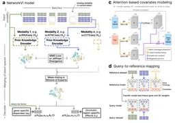 Biologically Guided Variational Inference for Interpretable Multimodal Single-Cell Integration and Mechanistic Discovery paper image