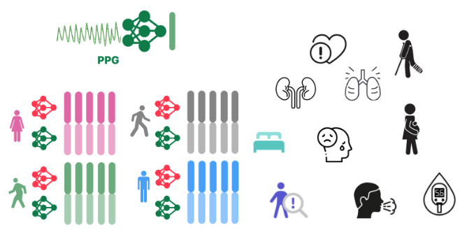 Beyond Sensor Data: Foundation Models of Behavioral Data from Wearables Improve Health Predictions paper image