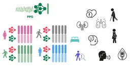Beyond Sensor Data: Foundation Models of Behavioral Data from Wearables Improve Health Predictions paper image