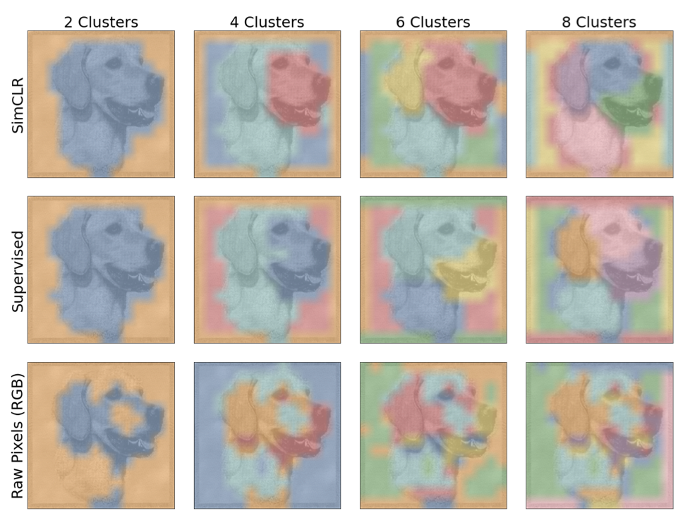 Intriguing Properties of Contrastive Losses paper image