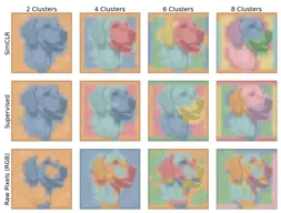 Intriguing Properties of Contrastive Losses paper image