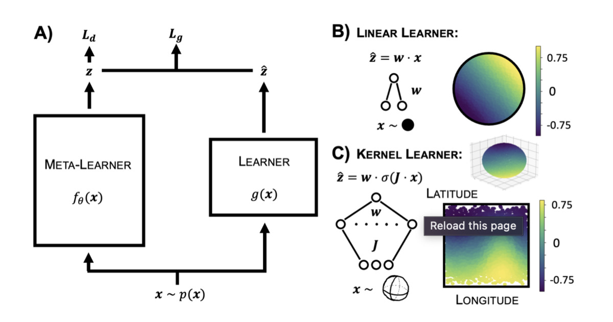 Meta-Learning the Inductive Biases of Simple Neural Circuits paper image