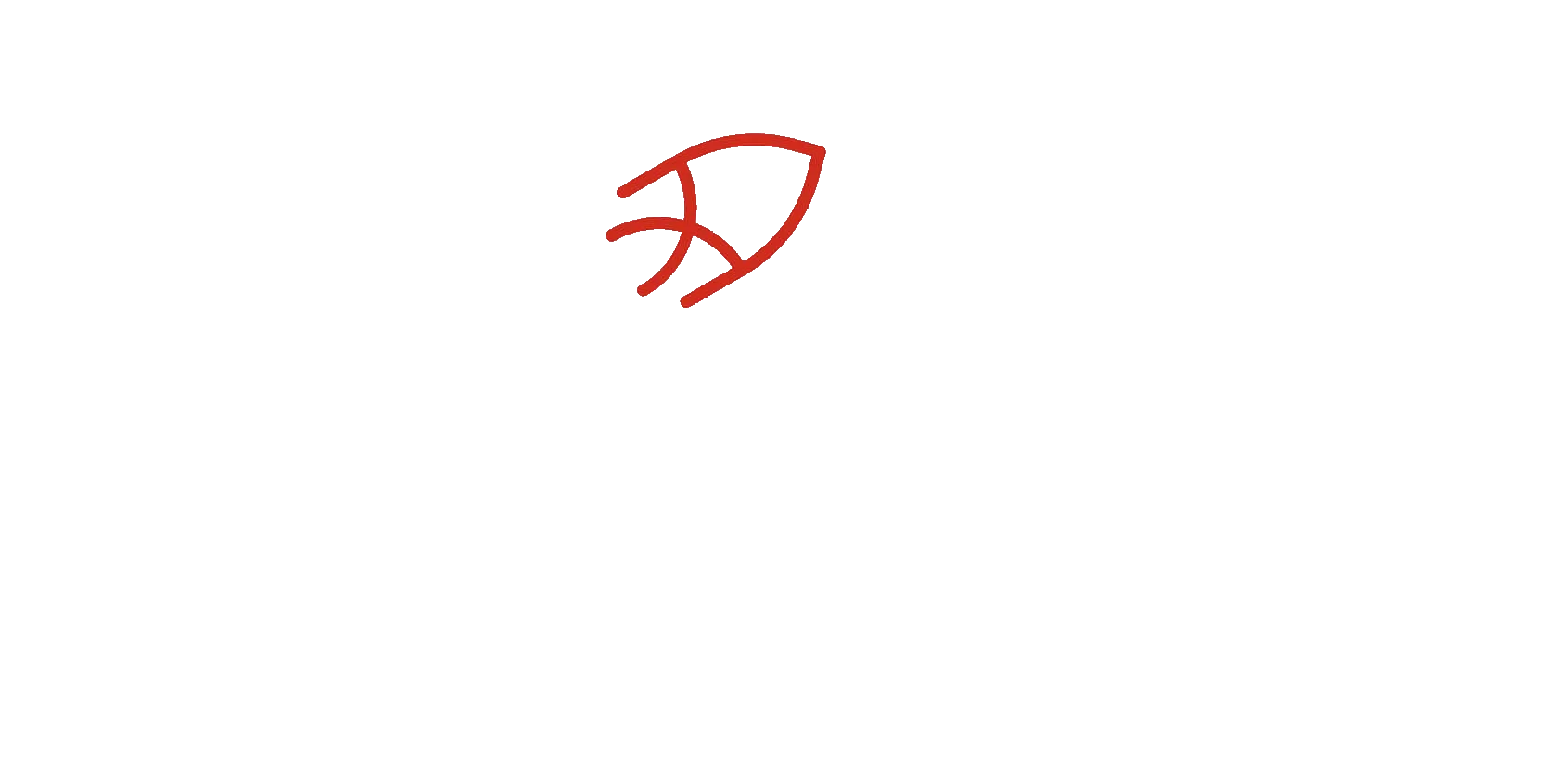 Sakana.AI logo
